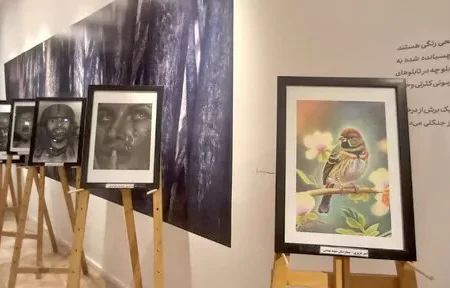 پرستاران کاشانی نمایشگاه آثار هنری برگزار کردند