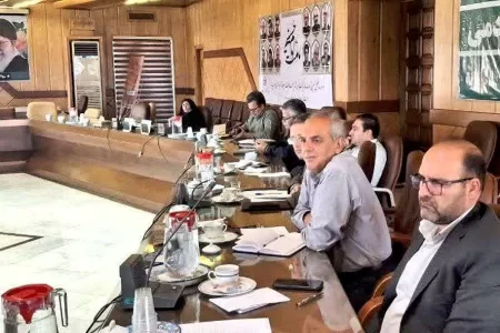 بررسی وضعیت تولید محصولات دیم در پنج شهرستان استان