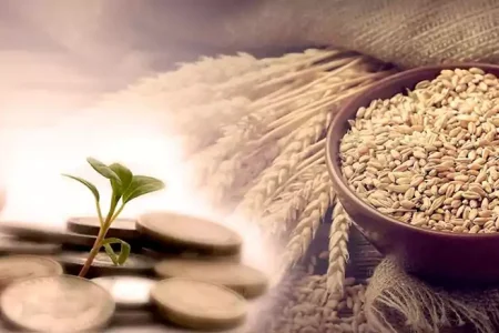 طی شش ماه ۱۳۹ میلیارد تومان زکات جمع آوری شد