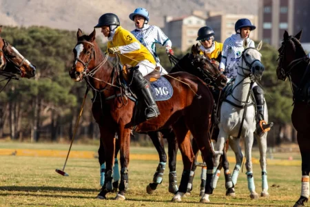 برگزاری هفته شانزدهم مسابقات ملی چوگان جام نرگس