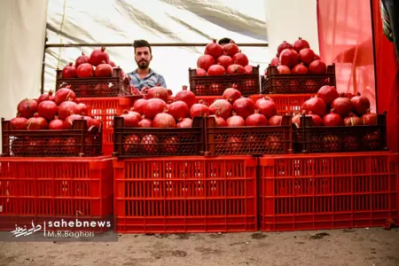 انار شهرضا میتواند به عنوان یک برند ملی مطرح شود