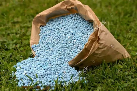 تأمین  بیش از ۴۰ هزار تن انواع کودهای یارانه‌ای در استان اصفهان