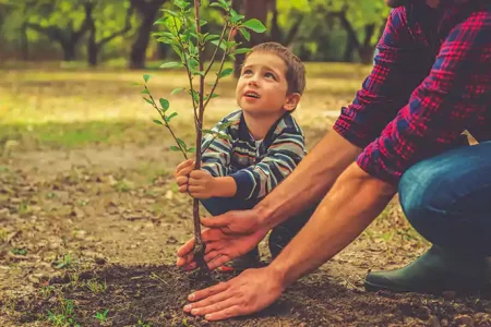 بهرهبرداری از طرح ۲۰۱ هکتاری زراعت چوب