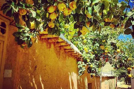 روستاگردی میانِ رود و ریشه