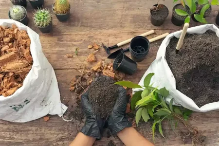 محدودیت خاک در اصفهان جدی‌تر از محدودیت آب