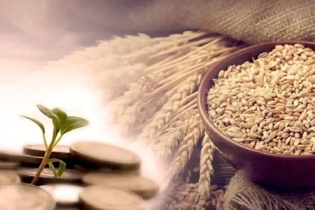 پرداخت ۲۰۰ میلیارد تومان زکات در اصفهان در سال جاری