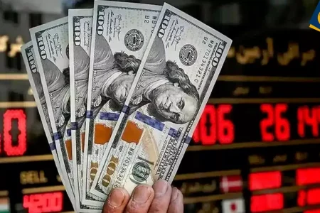 بی‌تدبیری دولت در حذف ارز ترجیحی