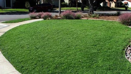 کاشت چمن گرمسیری در منطقه ۵ اصفهان