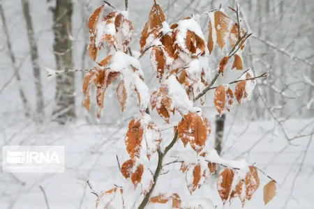 استان سردتر می‌شود ۷ تا ۱۲ درجه!