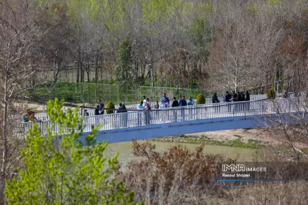 ساماندهی و احیای مادی‌ها و انهار ناژوان