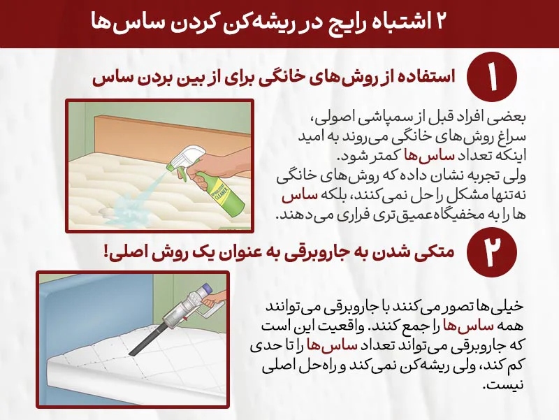 2 اشتباه رایج در ریشه کن کردن ساس