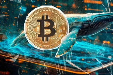 ریسک‌های سرمایه‌گذاری در بازار رمزارزها