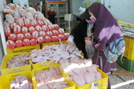 آرامش ناپایدار در بازار مرغ اصفهان