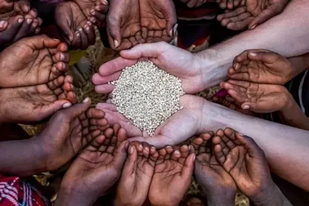 ۳ چالش اصلی صنایع غذایی: ارز، انرژی و نقدینگی