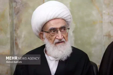 تاکید آیت الله نوری همدانی در خصوص تسریع در فرآیند انتخاب رهبری