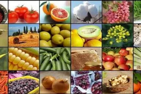 بیش از ۹۵ درصد کارخانه‌های صنعت غذا پای کار هستند