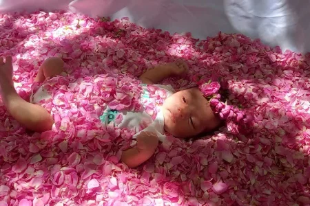 میزبانی از نوزاد بیست و چهار روزه در دریای صورتی گل محمدی
