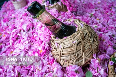 تجربه‌ای بهشتی از عطر و سنت