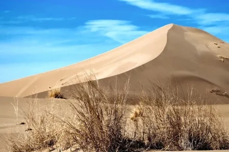اختصاص بودجه ۲.۵ همتی برای آبخیزداری و احیای بیابان‌ها