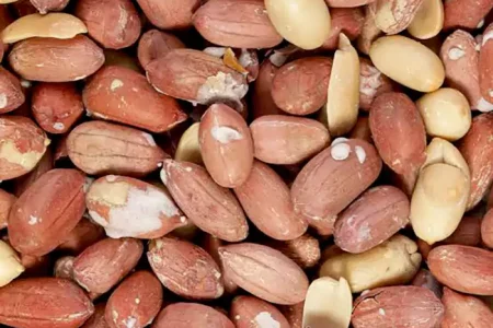 Dietitians Explain Why Peanuts  Are a Nutritional Powerhouse for Breakfast