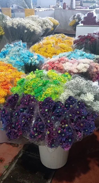 سفری به دنیای رنگ و رایحه در سپاهان