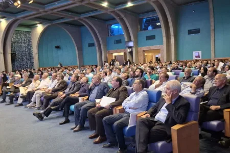 «شجره طیبه»؛ پیوند خیرخواهی با قلههای نبوغ