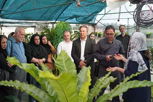 ناردین