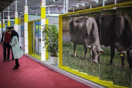 Livestock, poultry exhibition generates over $۱b in export agreements